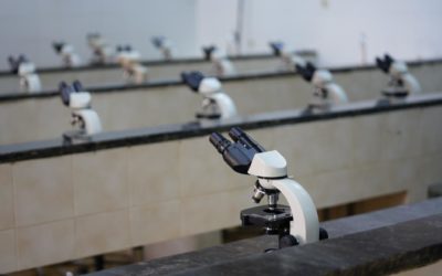 جولة للمركز الإعلامي بكلية الآداب والعلوم في قسم علم النبات